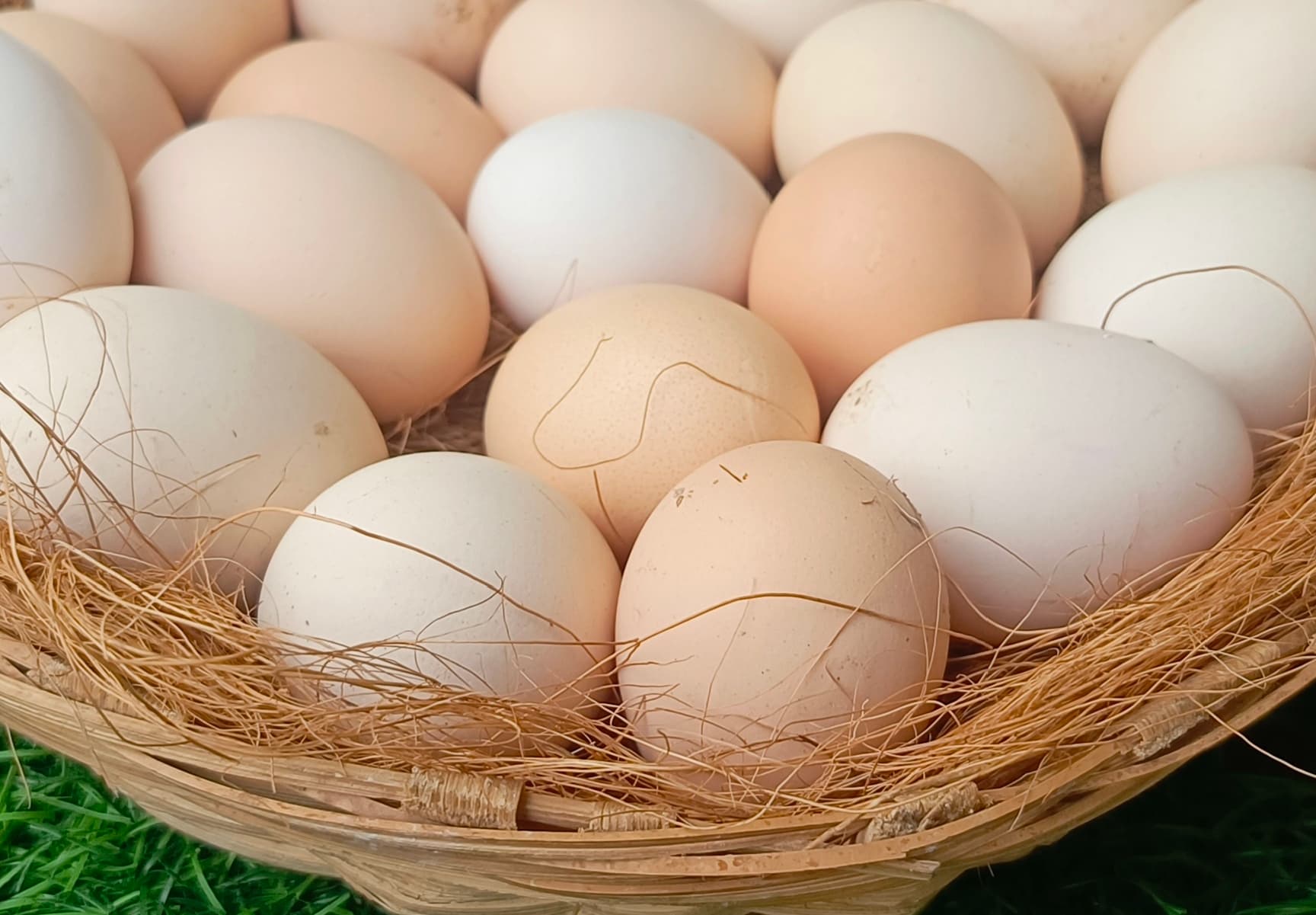 Image of Country Egg